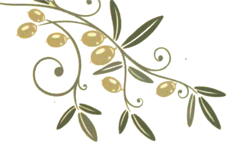Olivenzweig