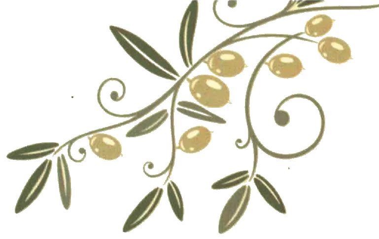 Olivenzweig